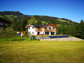 Landhaus Desiree Hopfgarten Im Brixental